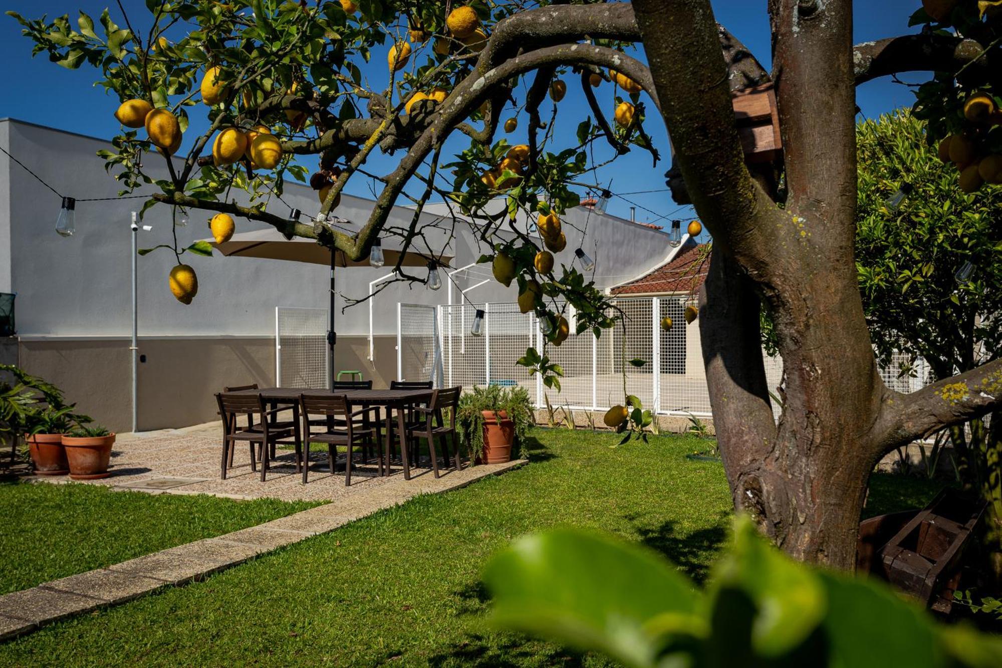 714 Mugnano House Aveleda Villa Vila do Conde Eksteriør bilde
